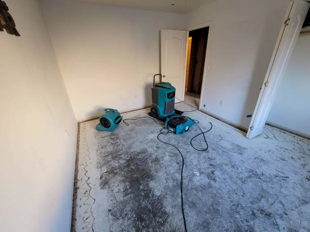 Best Basement water damage restoration  in Miamitown, OH