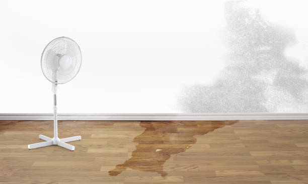 Best Flooded house restoration  in Miamitown, OH