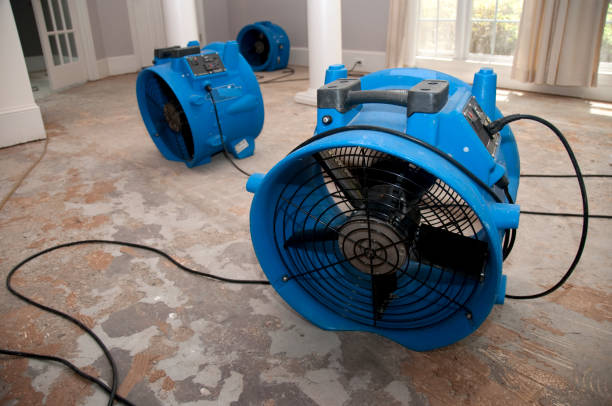Local water damage restoration in Miamitown, OH